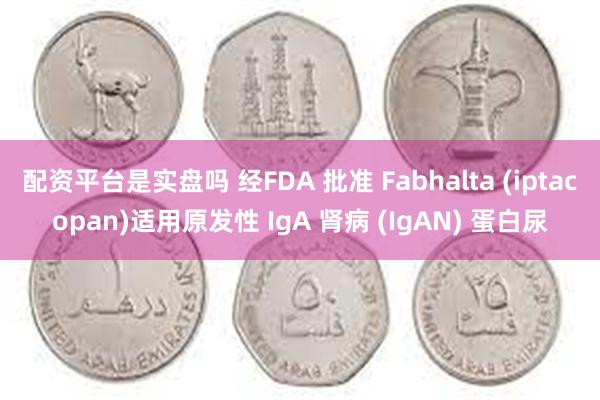 配资平台是实盘吗 经FDA 批准 Fabhalta (iptacopan)适用原发性 IgA 肾病 (IgAN) 蛋白尿