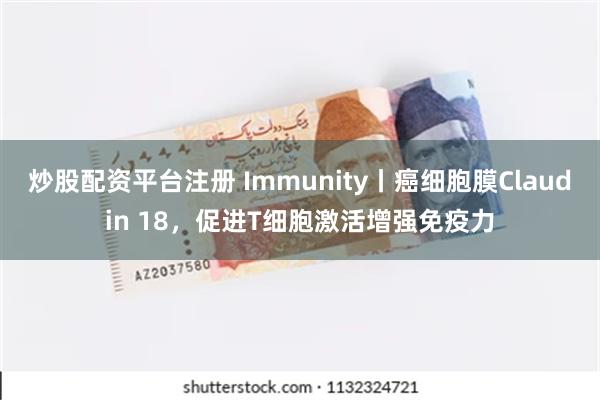 炒股配资平台注册 Immunity丨癌细胞膜Claudin 18，促进T细胞激活增强免疫力