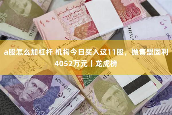 a股怎么加杠杆 机构今日买入这11股，抛售盟固利4052万元丨龙虎榜