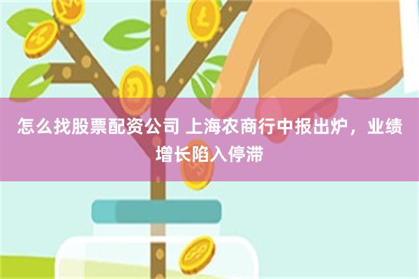 怎么找股票配资公司 上海农商行中报出炉，业绩增长陷入停滞