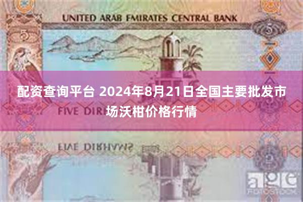 配资查询平台 2024年8月21日全国主要批发市场沃柑价格行情