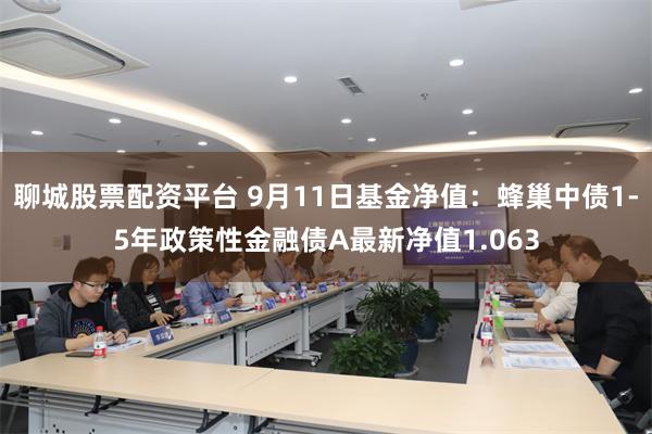 聊城股票配资平台 9月11日基金净值：蜂巢中债1-5年政策性金融债A最新净值1.063