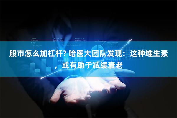 股市怎么加杠杆? 哈医大团队发现：这种维生素，或有助于减缓衰老