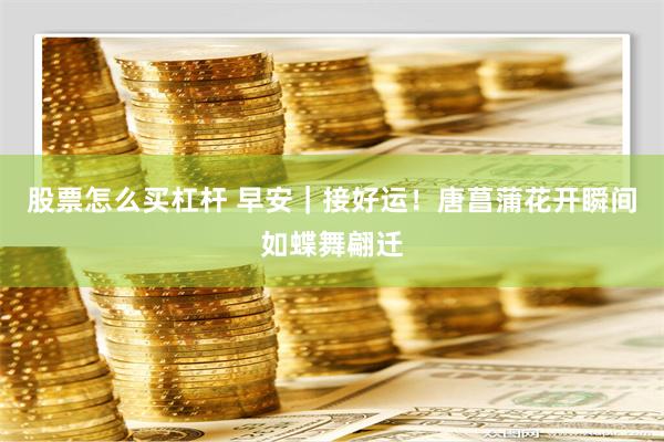 股票怎么买杠杆 早安｜接好运！唐菖蒲花开瞬间如蝶舞翩迁