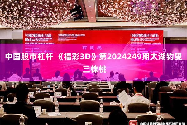中国股市杠杆 《福彩3D》第2024249期太湖钓叟 三株桃