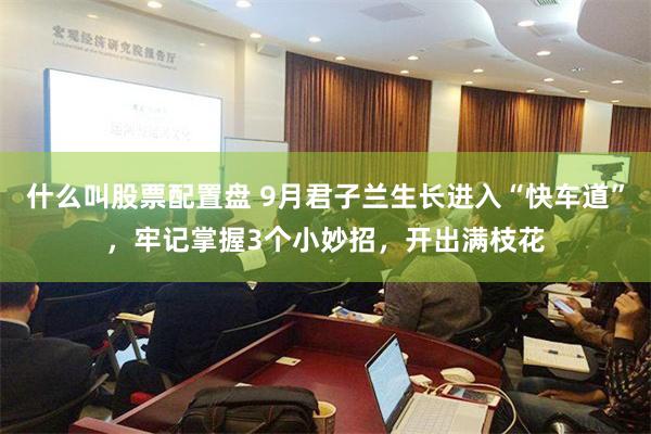 什么叫股票配置盘 9月君子兰生长进入“快车道”，牢记掌握3个小妙招，开出满枝花
