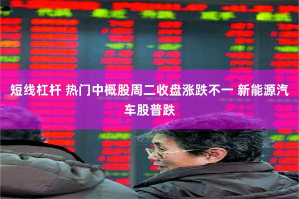 短线杠杆 热门中概股周二收盘涨跌不一 新能源汽车股普跌