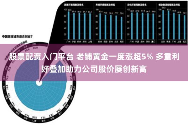 股票配资入门平台 老铺黄金一度涨超5% 多重利好叠加助力公司股价屡创新高
