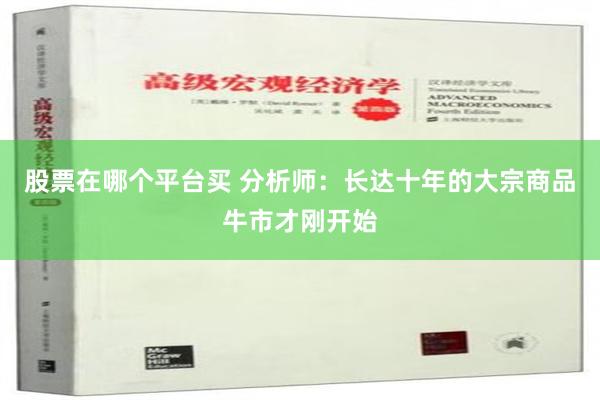 股票在哪个平台买 分析师：长达十年的大宗商品牛市才刚开始