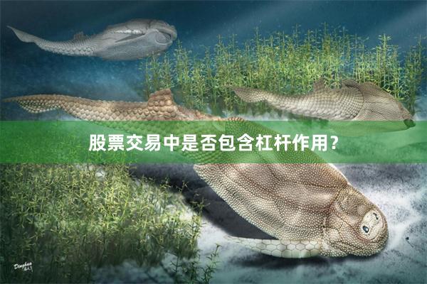 股票交易中是否包含杠杆作用？