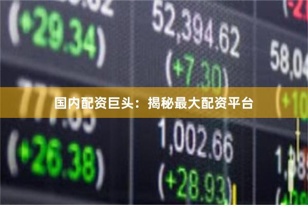 国内配资巨头：揭秘最大配资平台