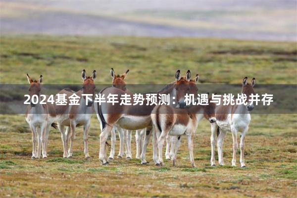 2024基金下半年走势预测：机遇与挑战并存