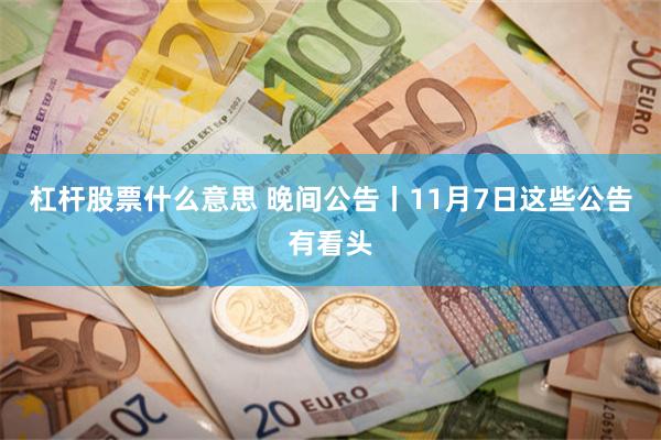 杠杆股票什么意思 晚间公告丨11月7日这些公告有看头
