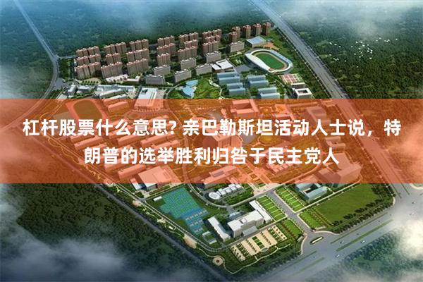 杠杆股票什么意思? 亲巴勒斯坦活动人士说，特朗普的选举胜利归咎于民主党人