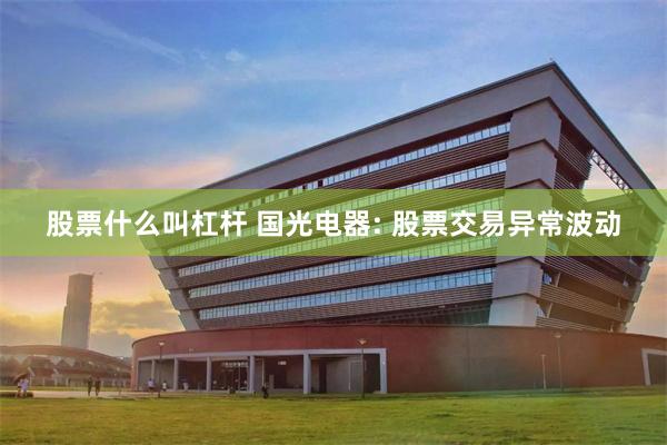 股票什么叫杠杆 国光电器: 股票交易异常波动