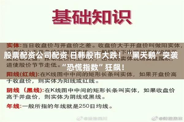 股票配资公司配资 日韩股市大跌！“黑天鹅”突袭 “恐慌指数”狂飙！