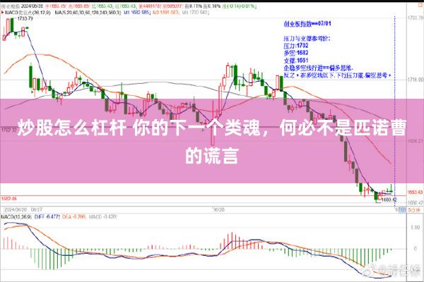 炒股怎么杠杆 你的下一个类魂，何必不是匹诺曹的谎言