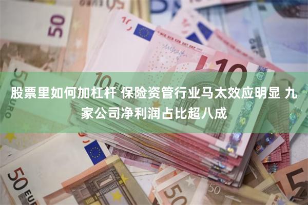 股票里如何加杠杆 保险资管行业马太效应明显 九家公司净利润占比超八成