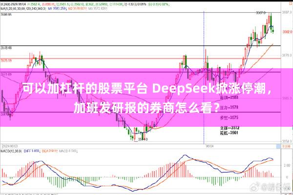 可以加杠杆的股票平台 DeepSeek掀涨停潮，加班发研报的券商怎么看？