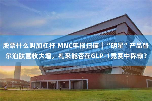 股票什么叫加杠杆 MNC年报扫描｜“明星”产品替尔泊肽营收大增，礼来能否在GLP-1竞赛中称霸？