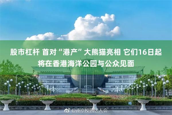 股市杠杆 首对“港产”大熊猫亮相 它们16日起将在香港海洋公园与公众见面