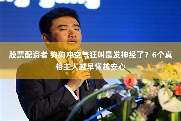 股票配资者 狗狗冲空气狂叫是发神经了？6个真相主人越早懂越安心