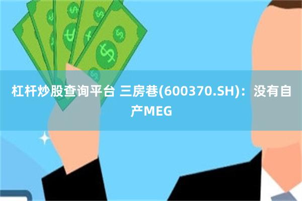杠杆炒股查询平台 三房巷(600370.SH)：没有自产MEG