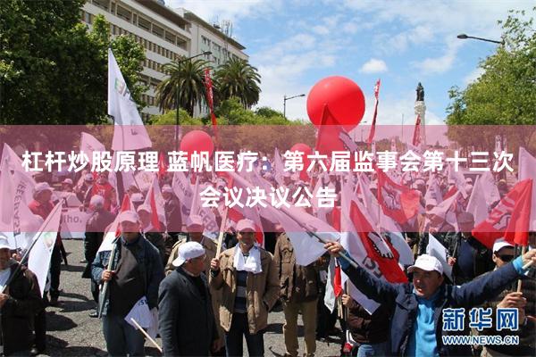杠杆炒股原理 蓝帆医疗：第六届监事会第十三次会议决议公告