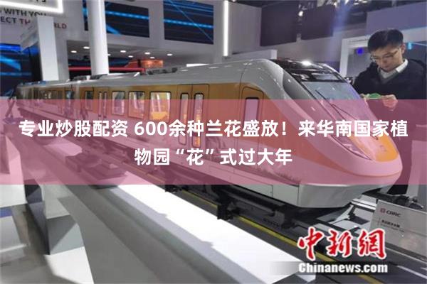 专业炒股配资 600余种兰花盛放！来华南国家植物园“花”式过大年
