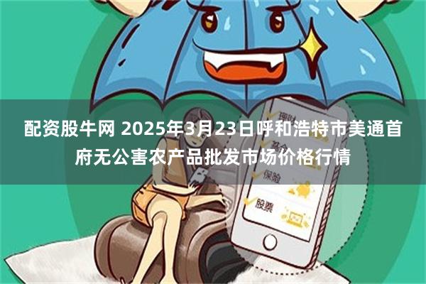 配资股牛网 2025年3月23日呼和浩特市美通首府无公害农产品批发市场价格行情