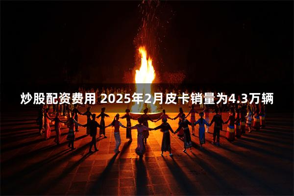 炒股配资费用 2025年2月皮卡销量为4.3万辆