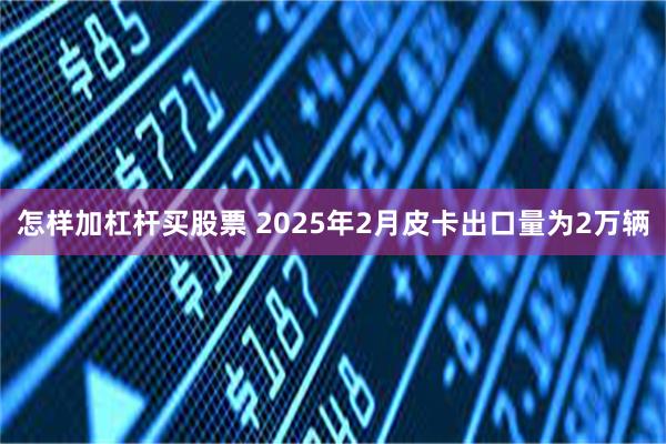 怎样加杠杆买股票 2025年2月皮卡出口量为2万辆