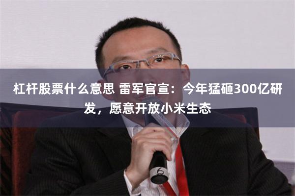 杠杆股票什么意思 雷军官宣：今年猛砸300亿研发，愿意开放小米生态