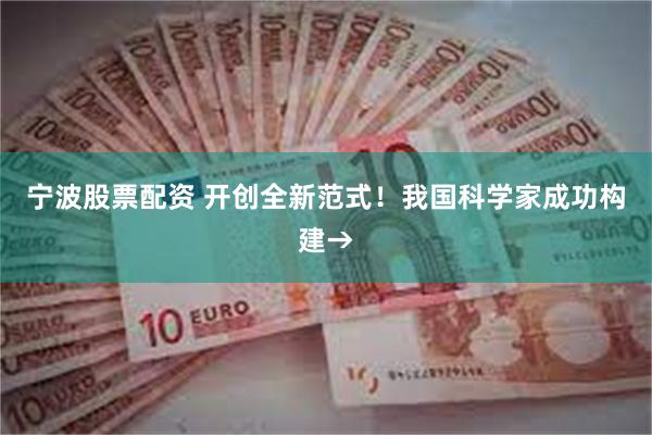 宁波股票配资 开创全新范式！我国科学家成功构建→