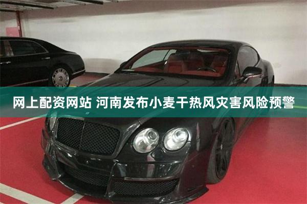 网上配资网站 河南发布小麦干热风灾害风险预警