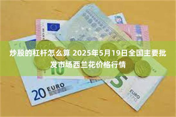 炒股的杠杆怎么算 2025年5月19日全国主要批发市场西兰花价格行情
