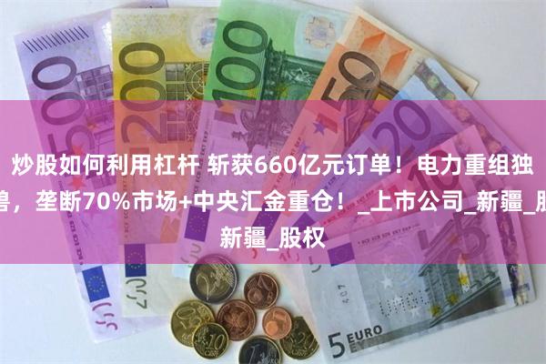 炒股如何利用杠杆 斩获660亿元订单！电力重组独角兽，垄断70%市场+中央汇金重仓！_上市公司_新疆_股权