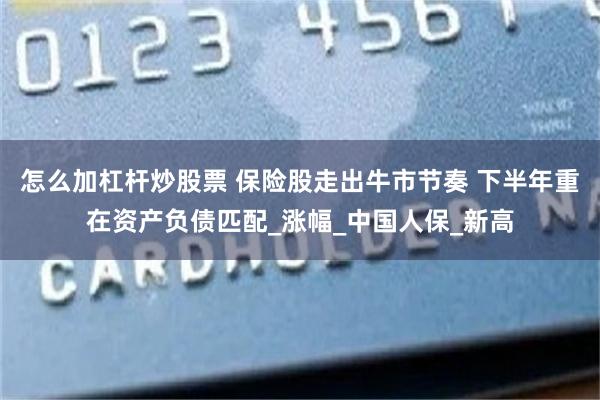 怎么加杠杆炒股票 保险股走出牛市节奏 下半年重在资产负债匹配_涨幅_中国人保_新高