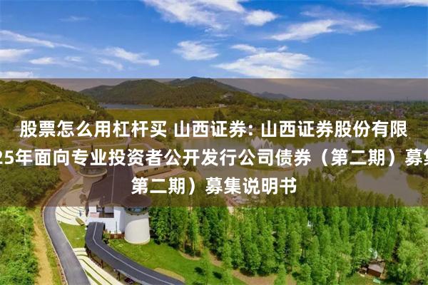 股票怎么用杠杆买 山西证券: 山西证券股份有限公司2025年面向专业投资者公开发行公司债券（第二期）募集说明书