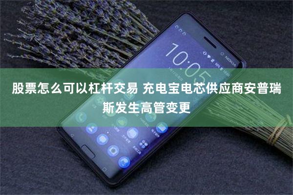 股票怎么可以杠杆交易 充电宝电芯供应商安普瑞斯发生高管变更