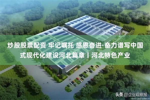 炒股股票配资 牢记嘱托 感恩奋进·奋力谱写中国式现代化建设河北篇章丨河北特色产业