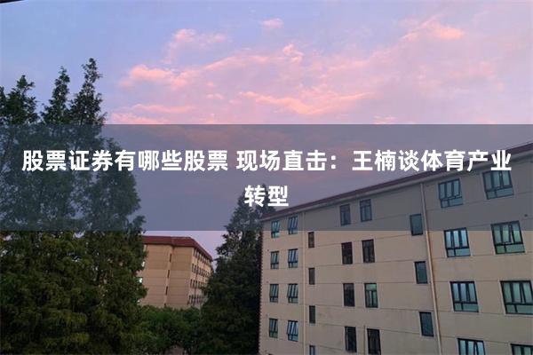 股票证券有哪些股票 现场直击：王楠谈体育产业转型
