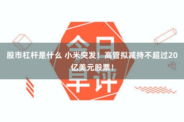 股市杠杆是什么 小米突发！高管拟减持不超过20亿美元股票！